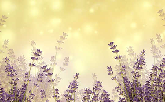 Essential Oils as Aromatics, in Healing, and for Pleasure Essential Oils as Aromatics, in Healing, and for Pleasure